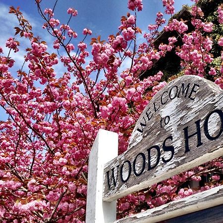 Treehouse Lodge Woods Hole Exterior foto