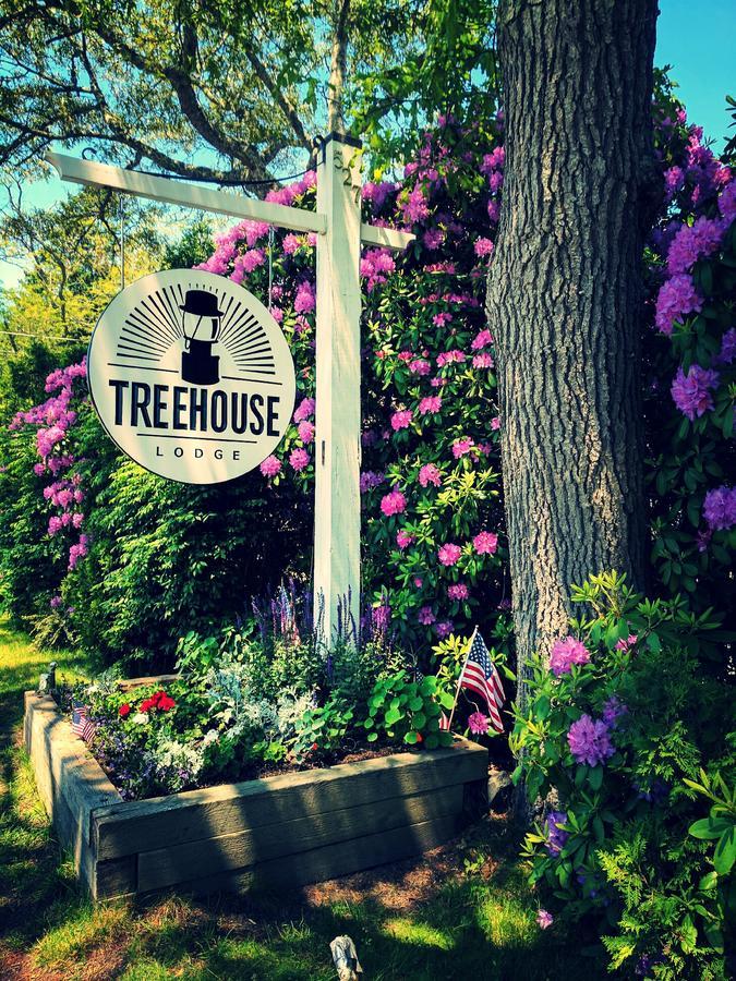 Treehouse Lodge Woods Hole Exterior foto